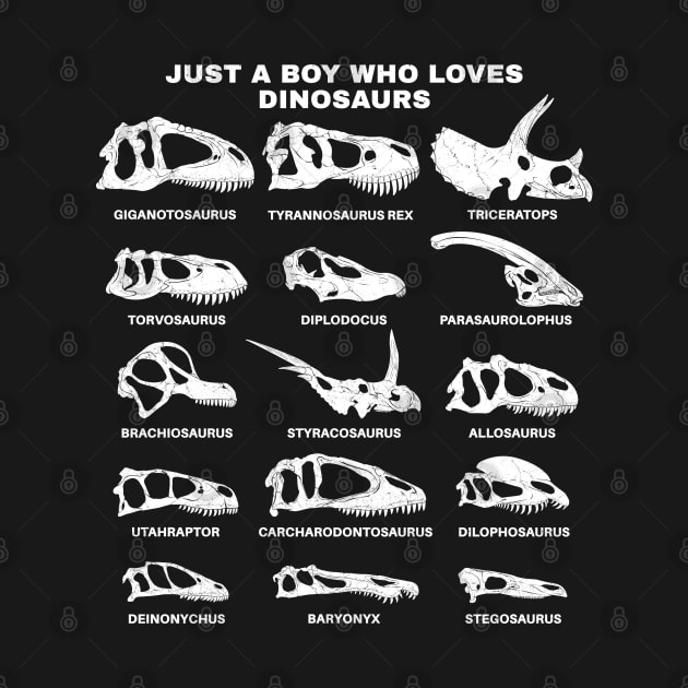 Types of Dinosaurs Just a boy who loves dinosaurs by NicGrayTees