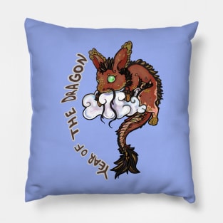 Year of dragon earth! Pillow