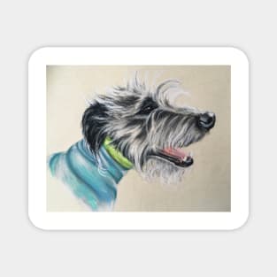 Scruffy  Lurcher blue jumper Magnet