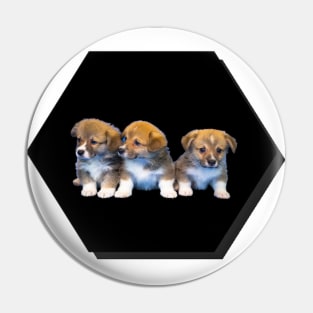 puppies Pin