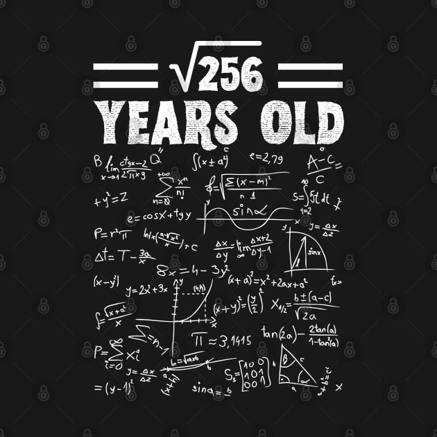 Square Root Of 256 16th Birthday, 16 Year Old Math Lover Gift by JustBeSatisfied