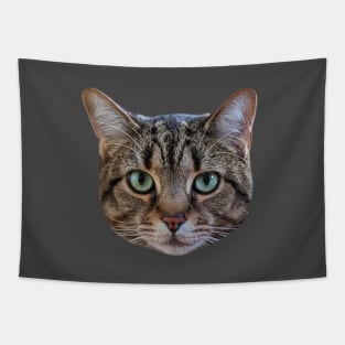 Tabby Cat Lover Brown Tabby Cat Owner Tabby Cat Mom Tapestry