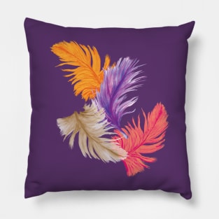 Warm Falling Feathers Pillow