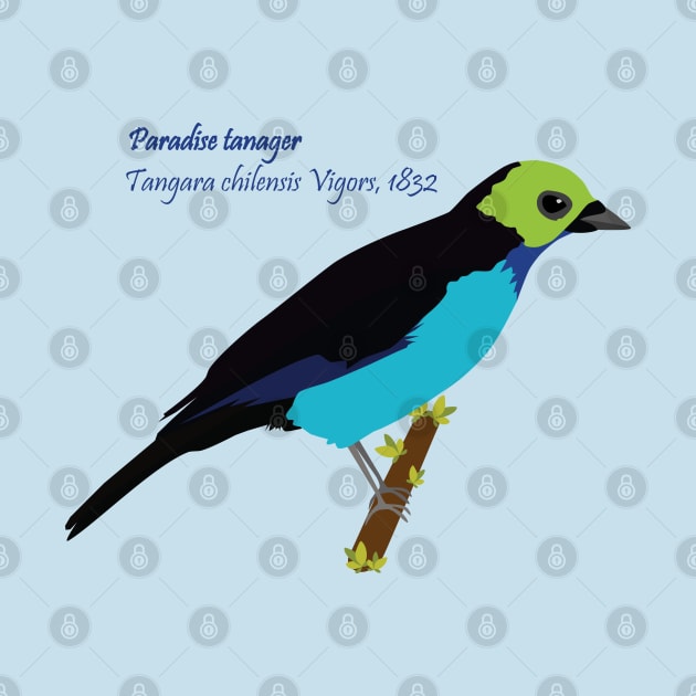 Paradise tanager bird by uncutcreations