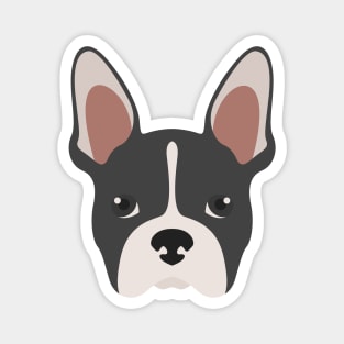 Boston Terrier Face Magnet