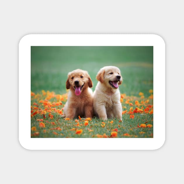 Golden Retriever Magnet by kawaii_shop