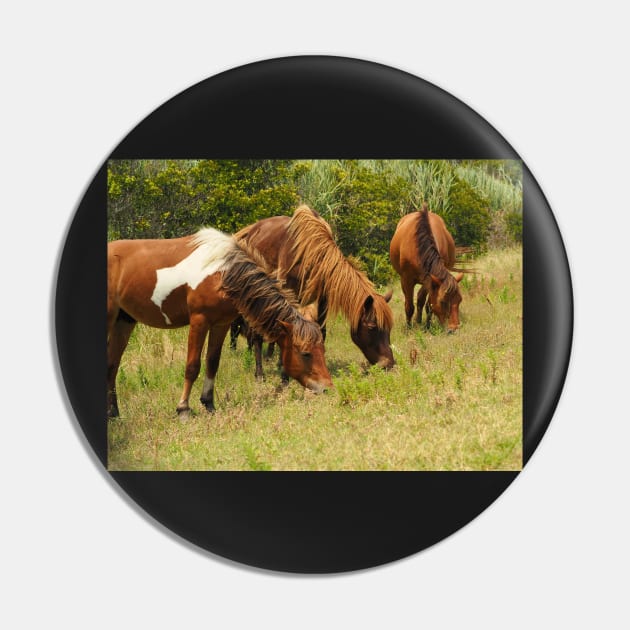 Assateague Ponies Grazing for Lunch Pin by Swartwout