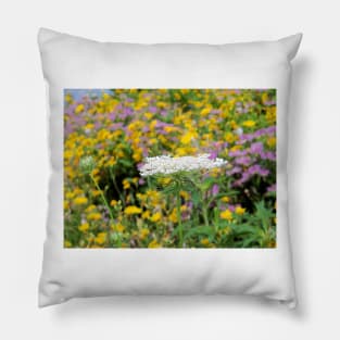 Queen Anne's Lace Pillow