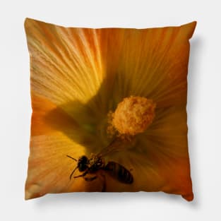 Flower in Close Up Pillow