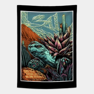 311 tour band Tapestry