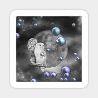 Owls Out of this World with Teal Purple Bubbles Magnet