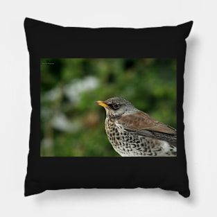 Fieldfare Pillow