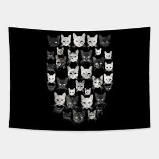 Cat Skull Lore Tapestry