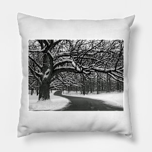 Winding Path Pillow