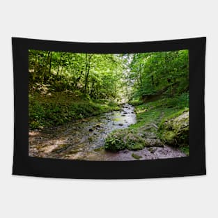 Mountain river flowing through valley Tapestry