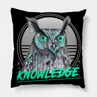 knowledge Pillow