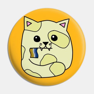 aroace pride flag cat Pin