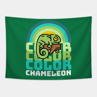 Color Color Color Chameleon Vintage Rainbow Tapestry