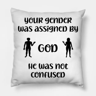 Your Gender Was Assigned by GOD. Pillow