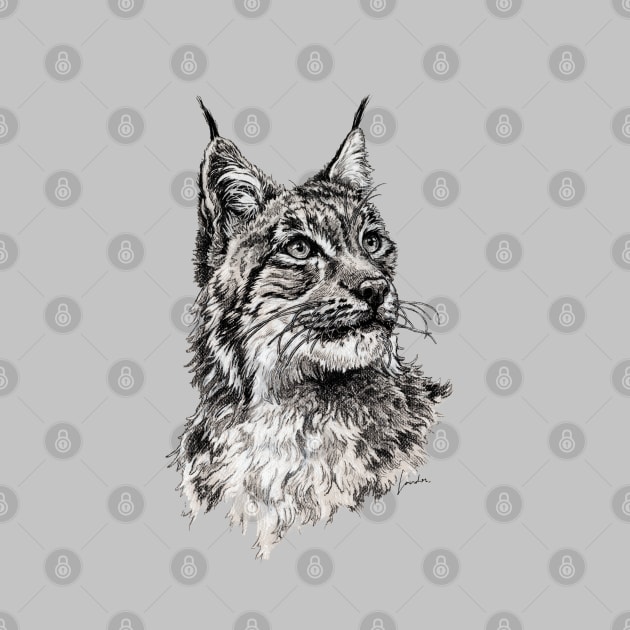 Lynx head by SakalDesign