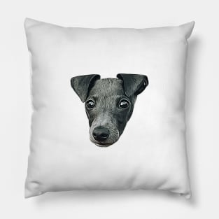 Italian Greyhound Cute Puppy Dog Art Pillow