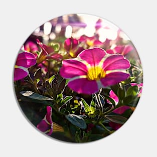 MAGENTA AND STRIPED PETUNIAS CLOSEUP Pin