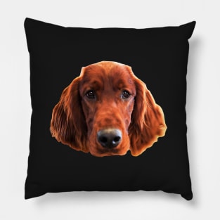 Irish Setter Dog Cute Face Pillow