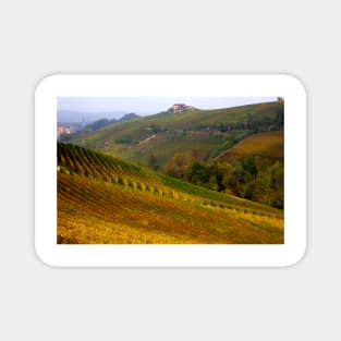 Vineyards of Barolo Magnet