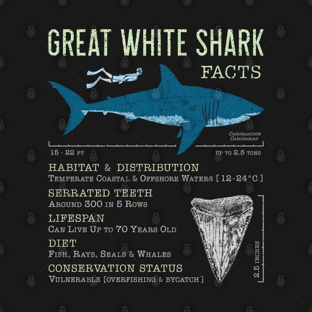 Great White Shark Facts by IncognitoMode