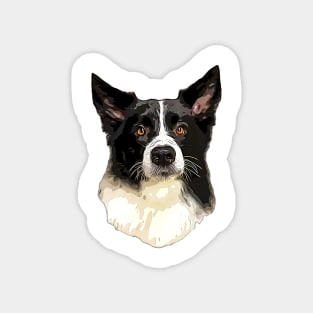 Border Collie Cuteness! Magnet