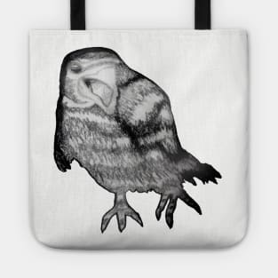 Raven Tote