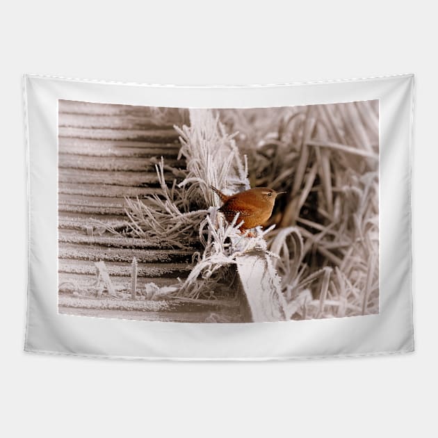 Frosty Wren Tapestry by MelTGazing