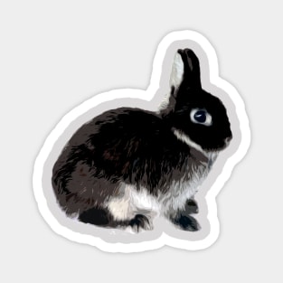 Black Otter Netherland Dwarf Rabbit Magnet
