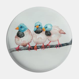 Australian Black-throated Finches, bird art Pin