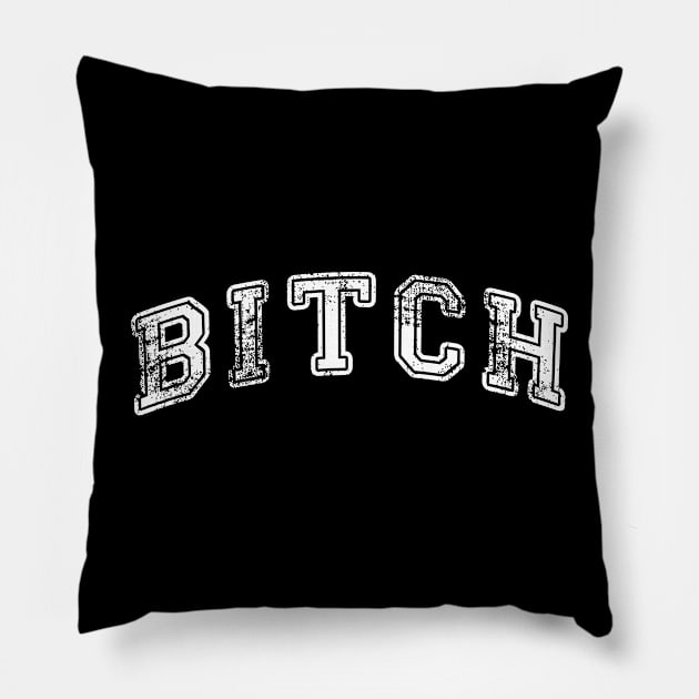 Bitch Pillow by Sterling