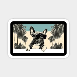 Cool French Bulldog Magnet