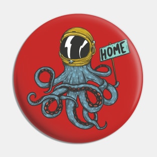 Home Pin