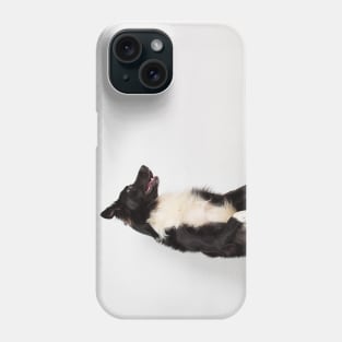 Playful sheepdog Phone Case