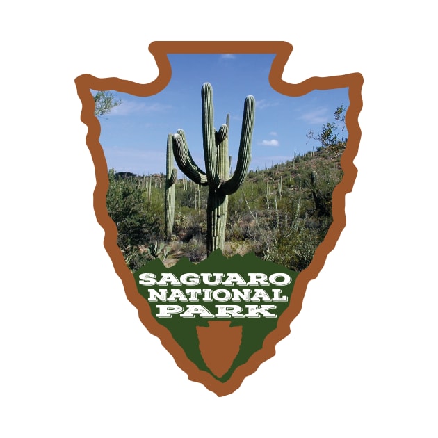 Saguaro National Park arrowhead by nylebuss