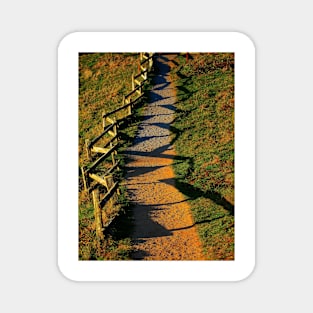 A Zigzag Fence. Point Reyes, California 2009 Magnet