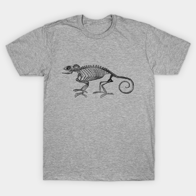 Discover Chameleon - Chameleon - T-Shirt