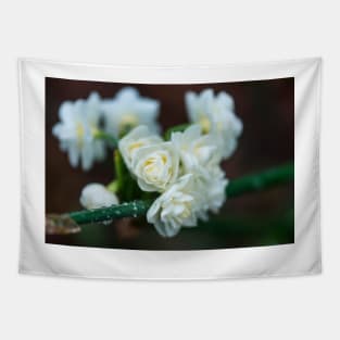 White Mountain Flowers in the Winter Rain Tapestry