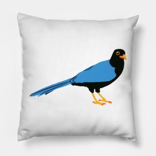 YUCATAN JAY Hand Cut Paper Bird Blue Black Yellow and Orange Crow Pillow