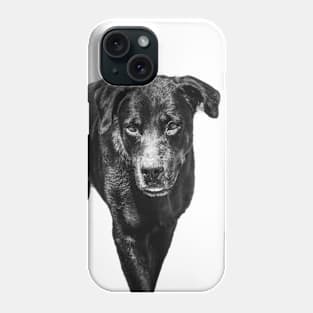 rottweiler Phone Case