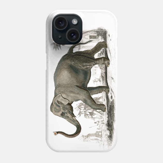 elephant Phone Case by Brook_Bramble