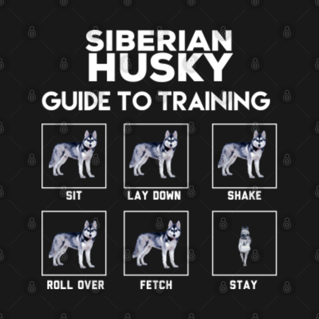 Disover Siberian husky guide to training - Siberian Husky - T-Shirt