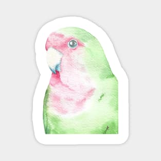 watercolor lovebird inséparable painting portrait pink green bird Magnet