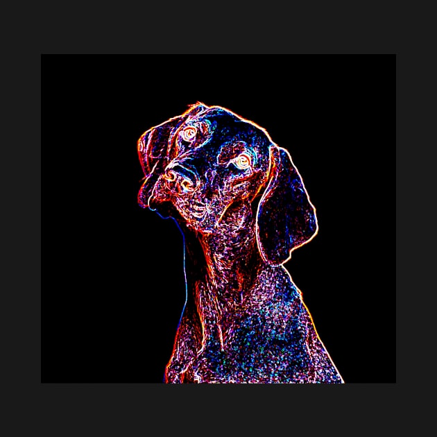 Dog Neon Styled by Mihadom