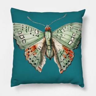 Green Butterfly Pillow