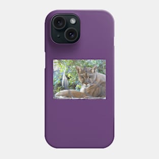 Female Mountain Lion Phone Case